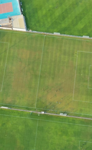 An aerial view of a sports complex featuring multiple green grass fields, including football pitches with marked goalposts. Adjacent to the fields is a blue-roofed building and a smaller area with a tennis or basketball court. Surrounding the complex, there's a road lined with trees and a dirt area with sparse vegetation.